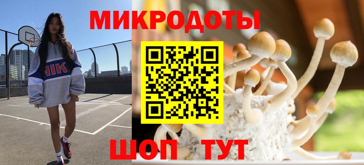 Галлюциногенные грибы мухоморы  сколько стоит  Галлюциногенные грибы мухоморы  Дзержинск  Вход с VPN 