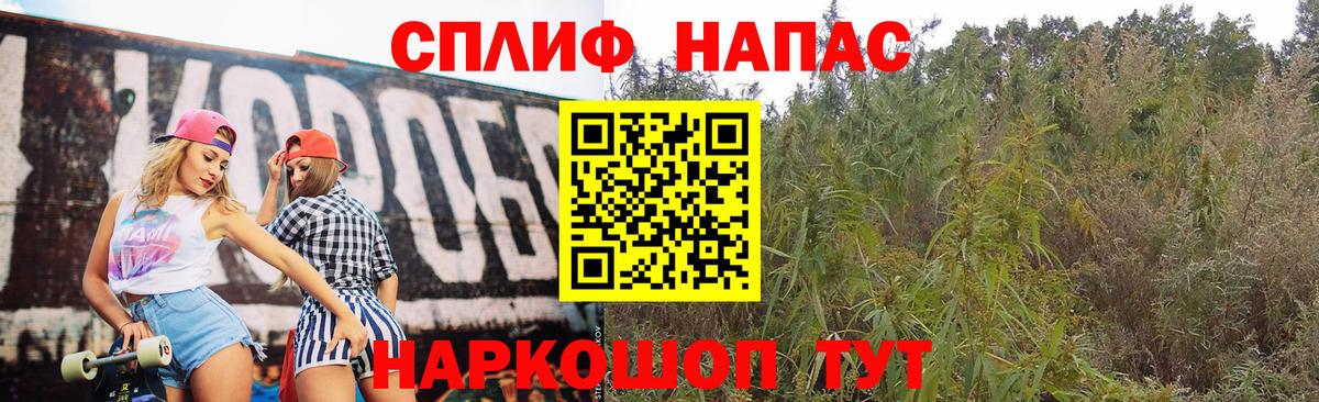 Гашиш Дзержинск